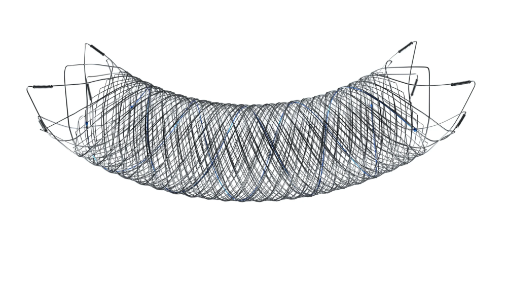 Система стентов Terumo FRED