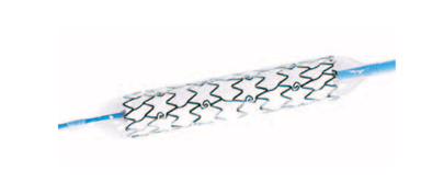 JOSTENT® GraftMaster Коронарный стент-графт