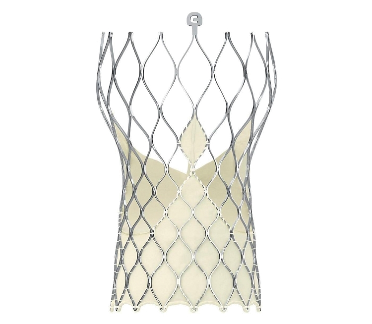 Клапан аортальный для транскатетерной установки системы Medtronic CoreValve Evolut R