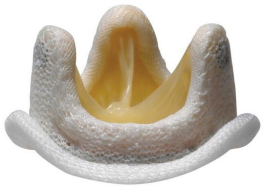 Протез клапана сердца биологический Medtronic Hancock II 