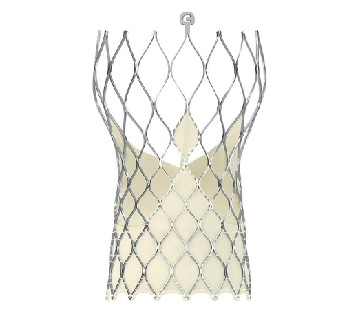 Клапан аортальный для транскатетерной установки системы Medtronic CoreValve Evolut R