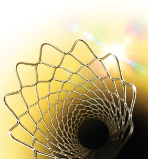 Система коронарного стента Medtronic Endeavor Resolute с покрытием Зотаролимус