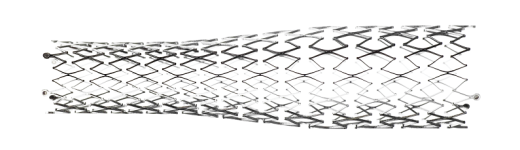 Protégé RX Система для стентирования периферических сосудов